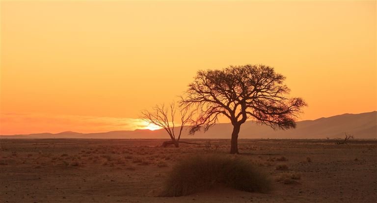 Gondwana Collection: Bilderbuch Namibia ©paulafrench/istock